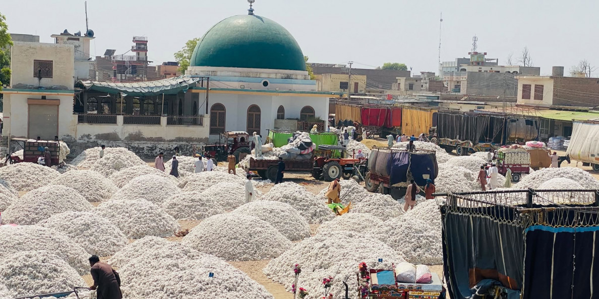 Cotton News 09/30/2026